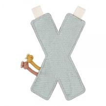 Letter X