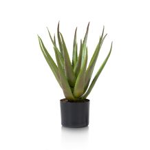 coco maison Kunstplant Aloe
