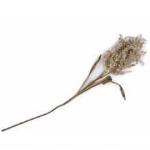 coco maison Kunstplant wild dried millet spray