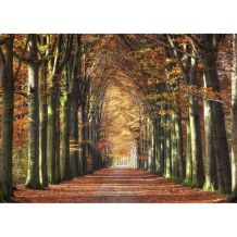 wandkraft Wanddecoratie goodman-030 FOREST