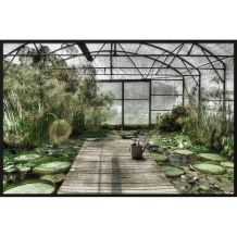 wandkraft Wanddecoratie Botanical stories 013