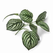 coco maison Kunstplant Peperomia bush